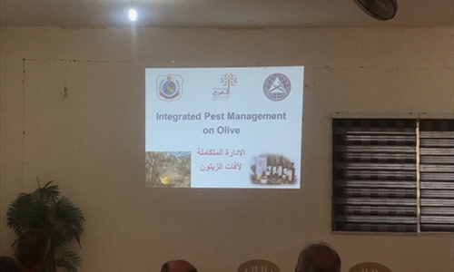 Integrated Pest Management for Olive Pests Workshops